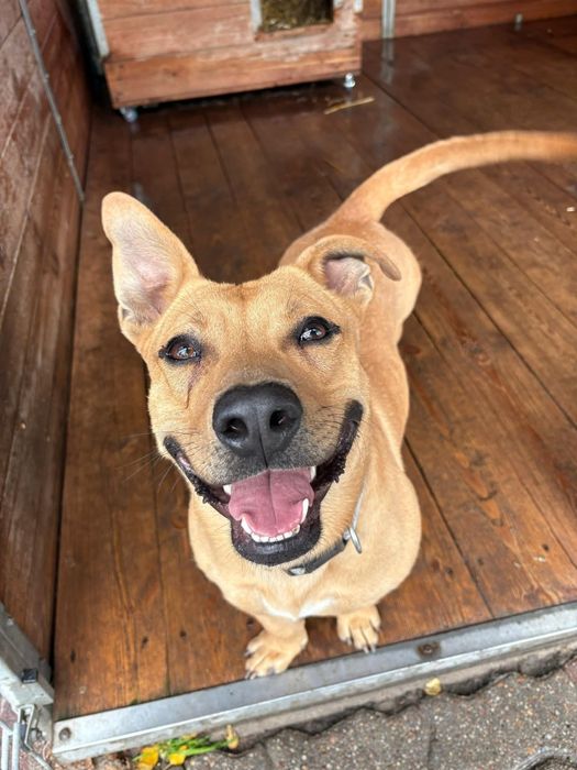 Marzy tylko o jednym – o wolności, miłości i człowieku, który go zrozu