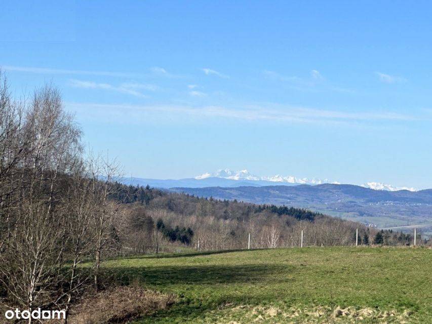 Działka budowlana 1679 m² z warunkami zabudowy i mediami - las, zalew - Widok 3