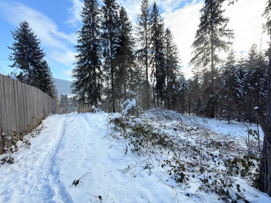 Ділянка 9 соток, м.Яремче (уч. Ямна, вихід до лісу)