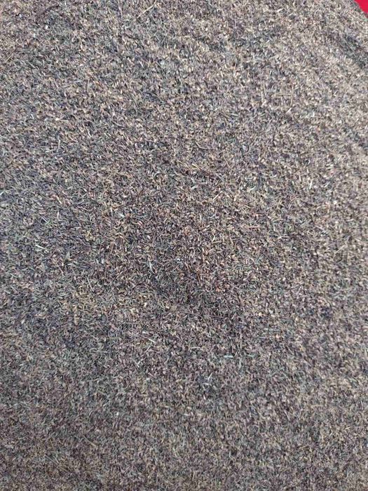 Tymianek nasienny 2025 liść