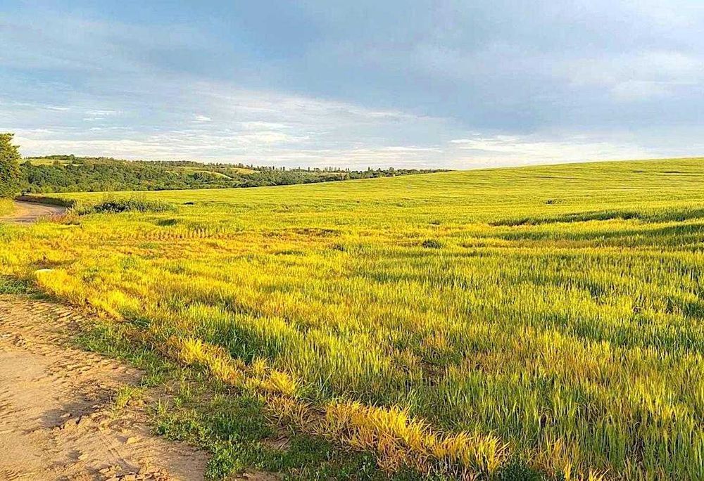 Ділянка на березі річки та поряд з Дніпром! Під базу відпочинку та ін