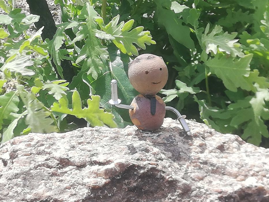 Mascote "bogalhinho"