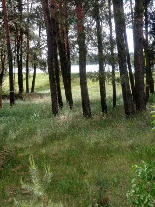 Продається земельна ділянка для будівництва з мальвничим виглядом на озеро і ліс село ГАВРОНЩИНА