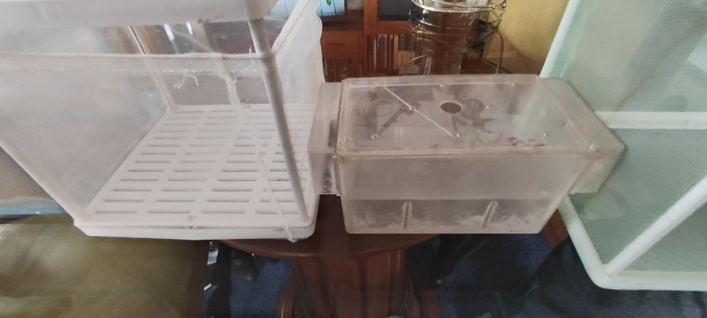 Vendo 5 maternidades de vários tampas