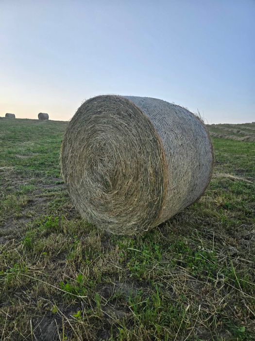 Siano baloty i kostki
