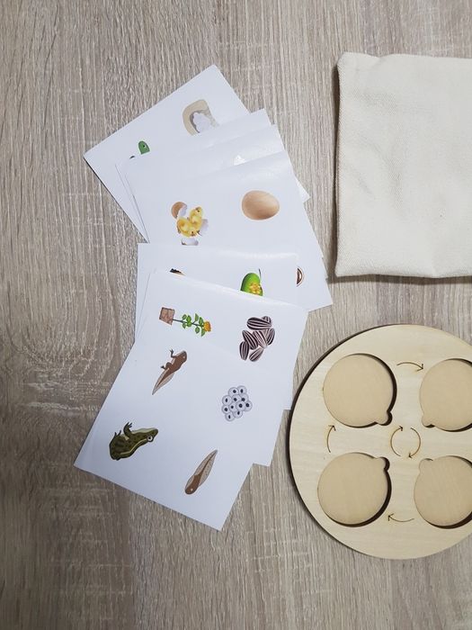 Ciclos da vida - jogo