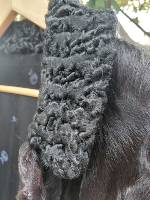 Casaco de pele genuina , cor preta