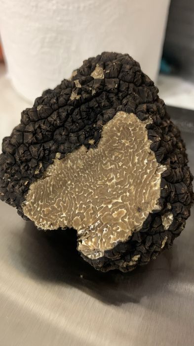 Трюфель чорний білий Італія Абруццо Свіжий гриб