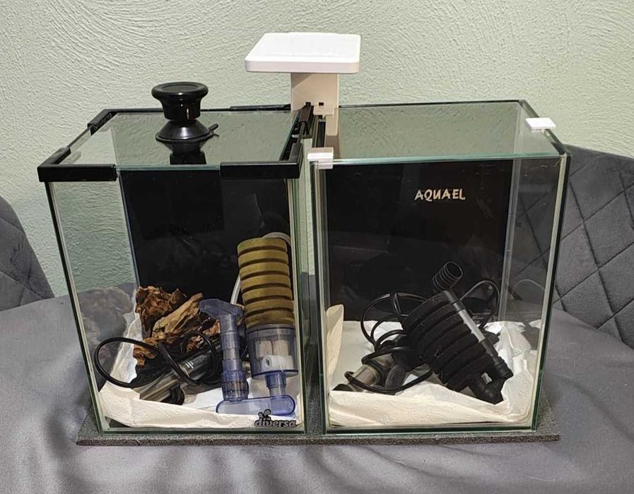 Dwa akwaria po 10 l każde