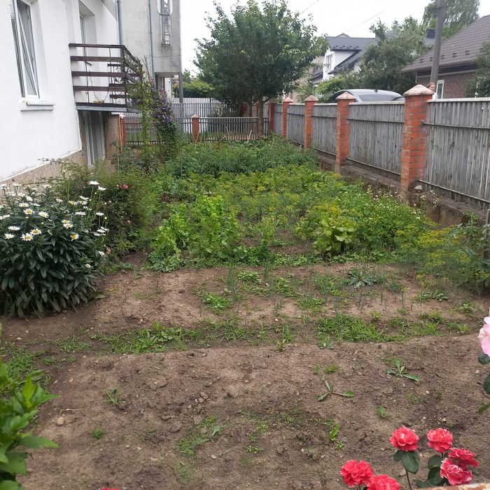 Продам житловий будинок м.Самбір