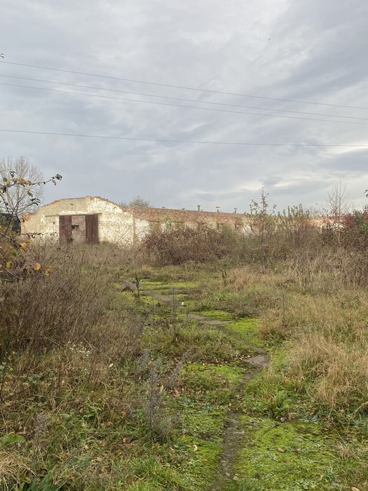 Комерційні приміщення