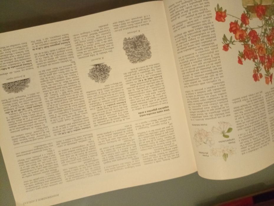 O Livro do Jardim	- Selecções do Reader's Digest	1ª edição 1996	Livro  antigo mas em excelente estado