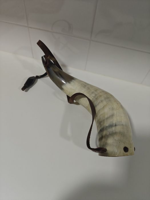 Corno Raro Moçambicano