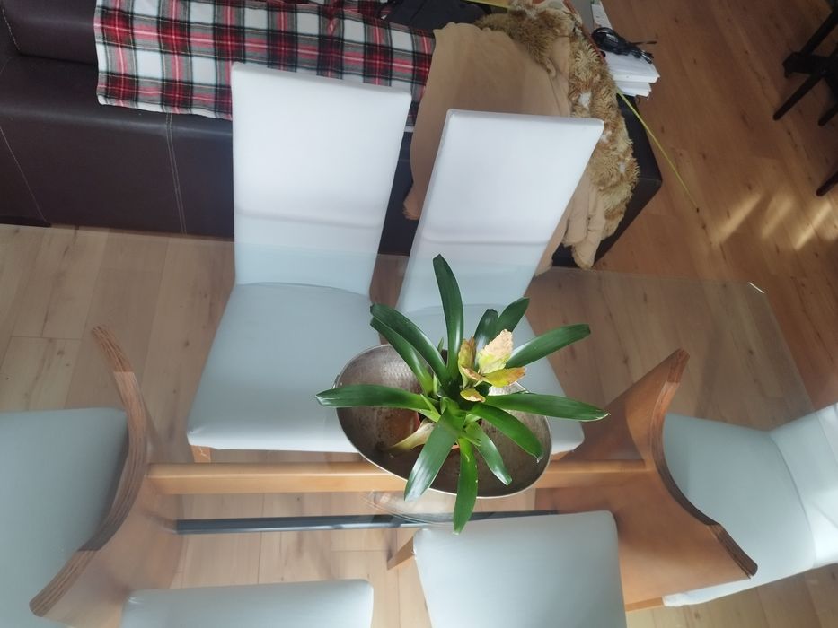 Mesa de jantar com 6 cadeiras