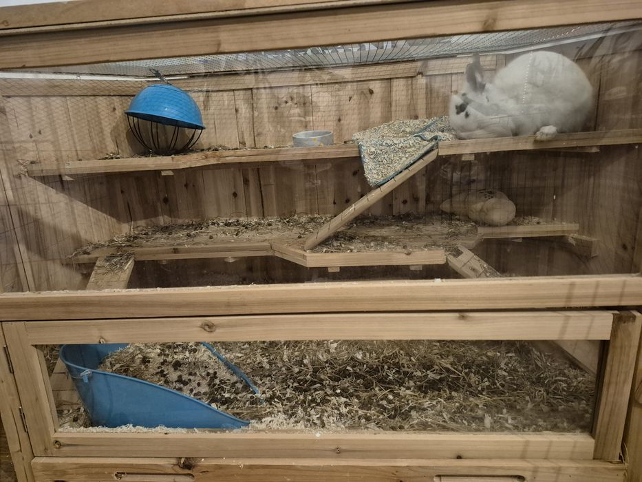 Sprzedam klatkę dla gryzonia