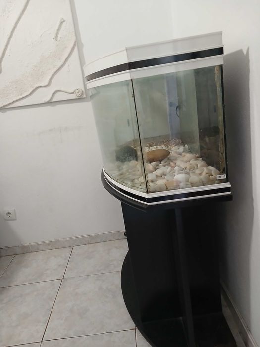 Vendo aquario completo
