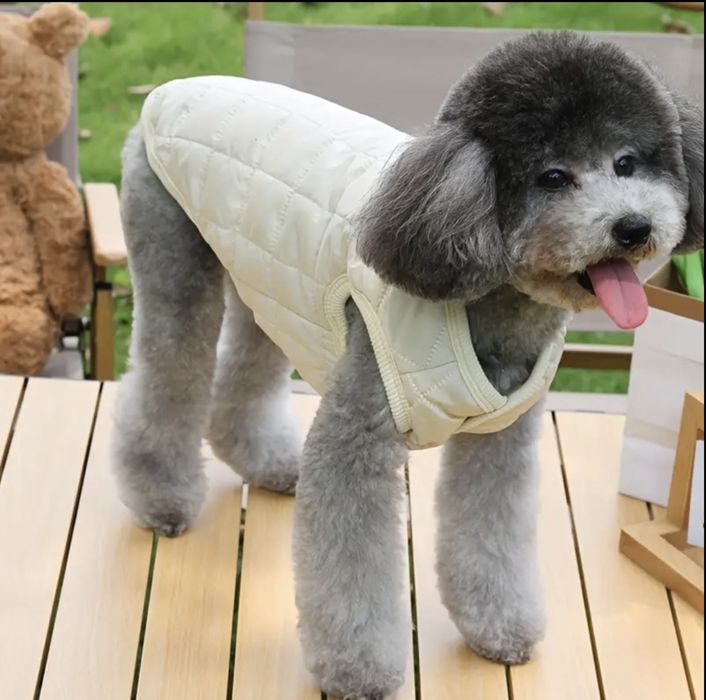 Жилет для домашніх тварин