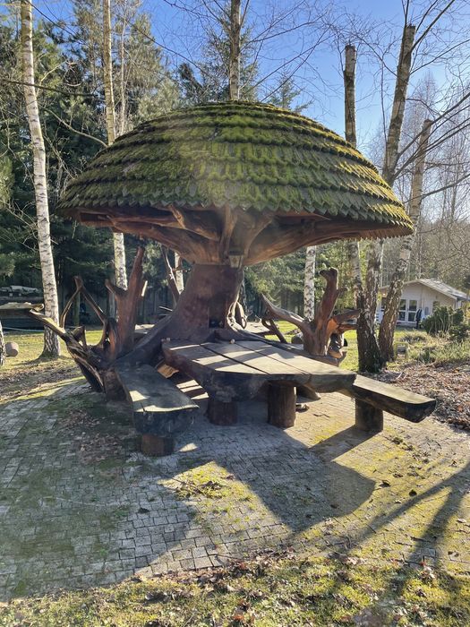 Domek z basenem do wynajecia