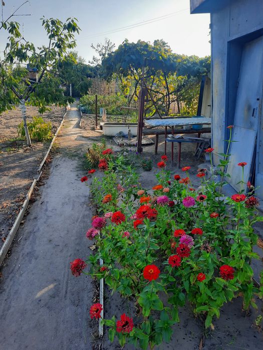 Дачный участок в кооперативе Металлург Раковка