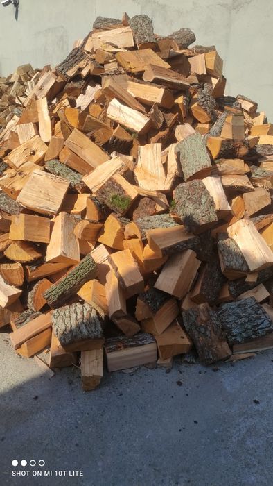 Drewno suche dąb buk grab olcha brzoa sosna