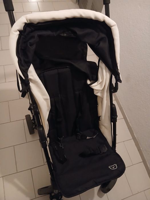 Carinho de passeio