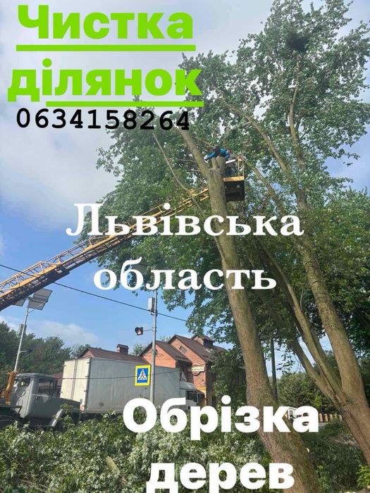 Чистка ділянок | Покіс трави | Зрізання дерев | Львів та область