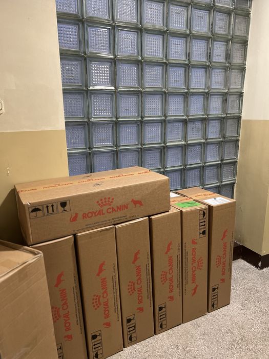 RC Maine Coon Brit 2/5/8kg / Worek‼️ Kitten, Adult • RoyalCanin MC BRI