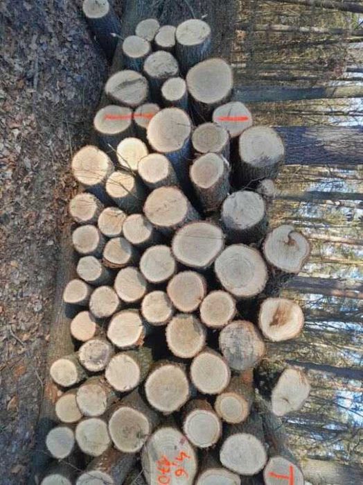 Drewno kominkowe i opałowe