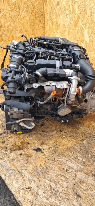 Silnik kompletny 1.6 hdi peugot citroen  ford 2009r