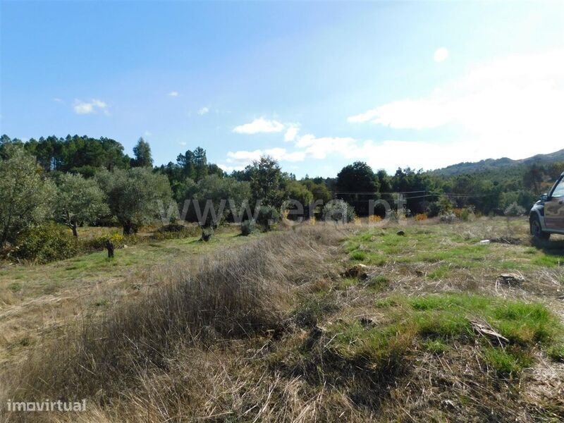 Terreno / Fundão, Quintas da Torre