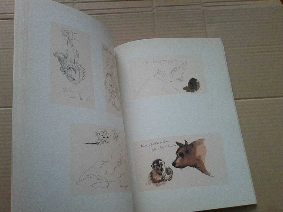 Liber Studiorum - João Queiroz