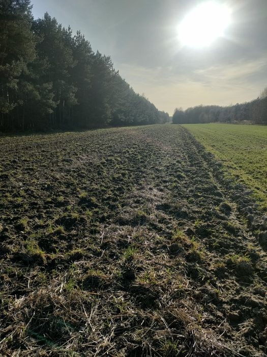 Ziemia Rolna 2,4h