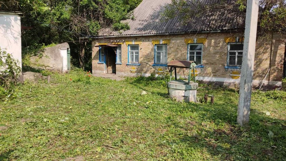 Дім в селі Селище, Черкаська область ТОРГ