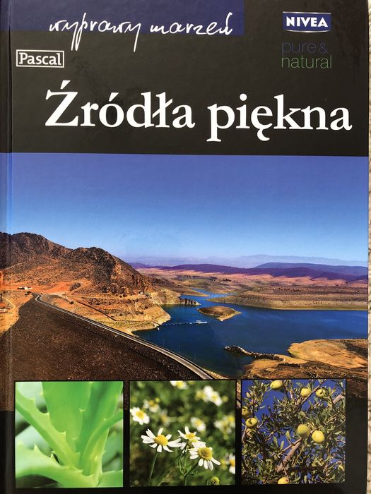 Źródła piękna Pascal