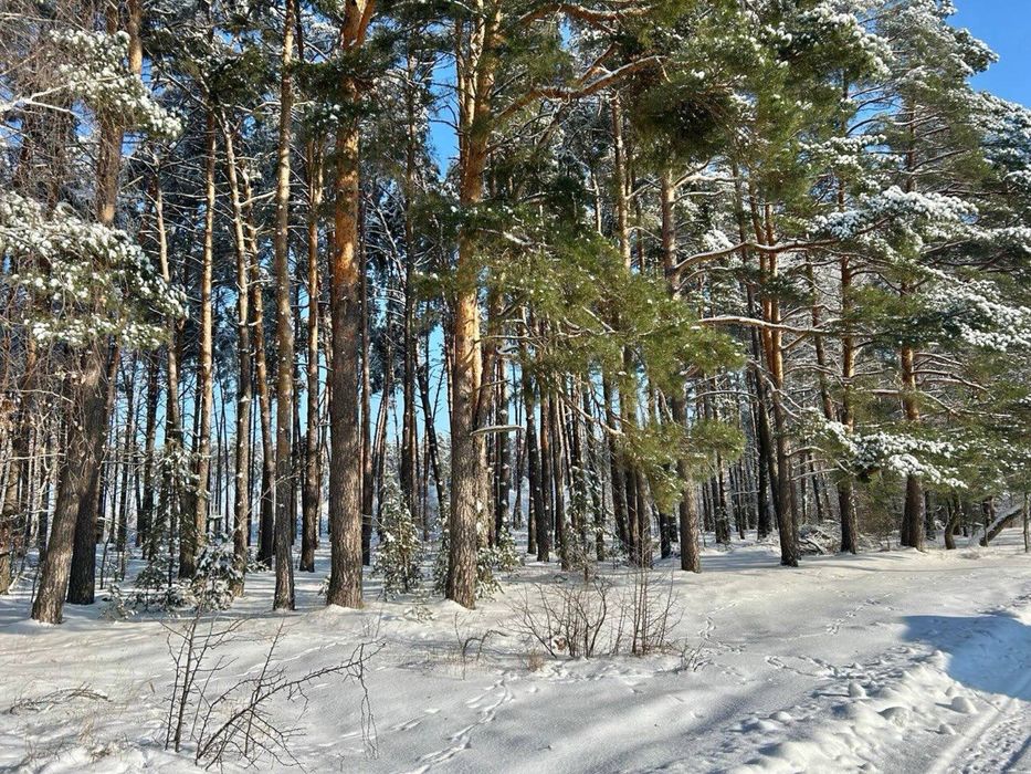Готовий будинок  з виходом до лісу! Здвижівка! 20 соток