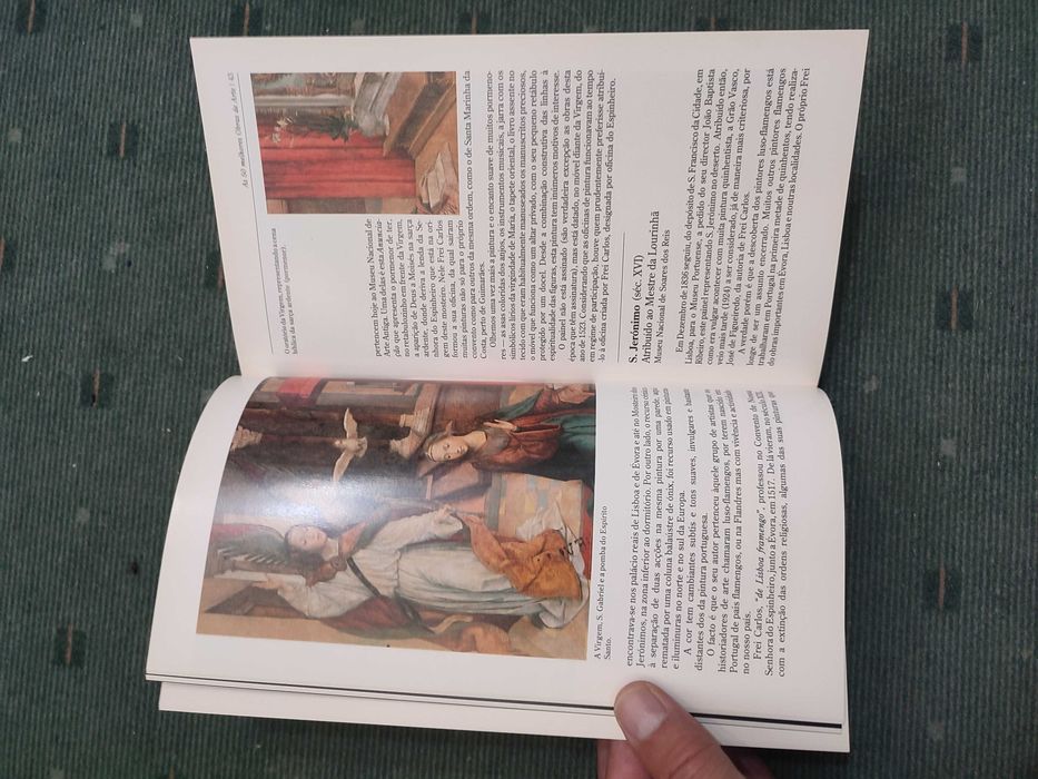 As 50 Melhores Obras de Arte em Museus Portugueses - Maria Alice Beaumont