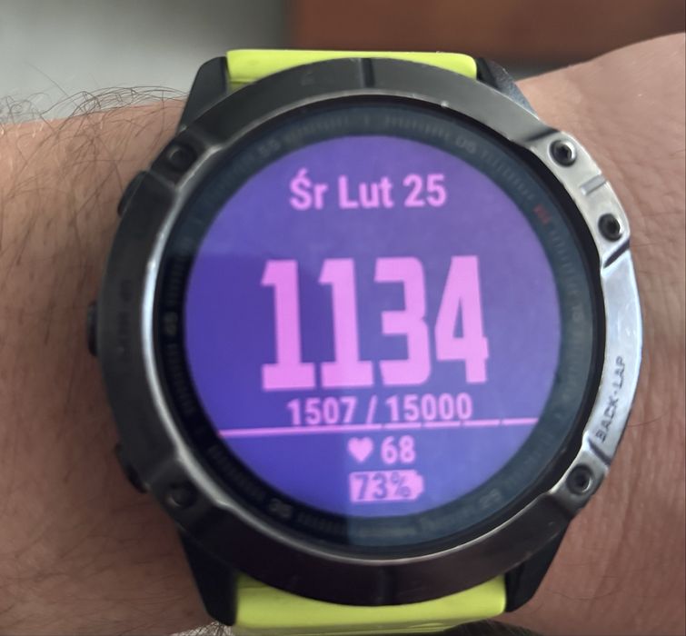 Garmin fenix 6x pro