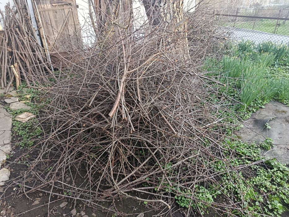 Дрова фруктові хмиз....