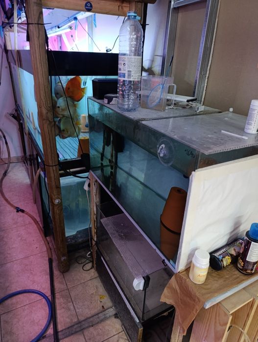 Aquários e material de aquariofilia