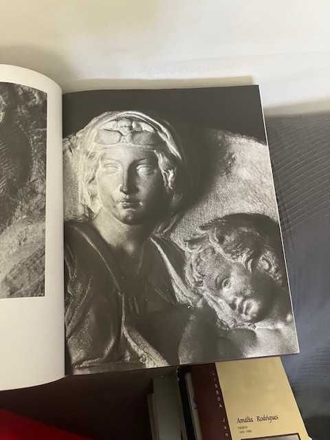 Livro Michel Angelo