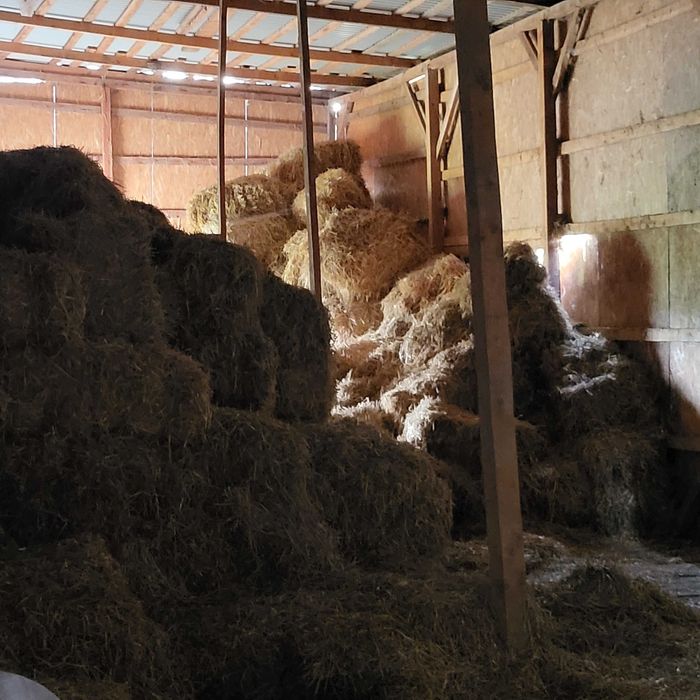 Дом по адресу ул. Капеланська (площадь 1,8 м²) - Atlanta.ua - фото 9