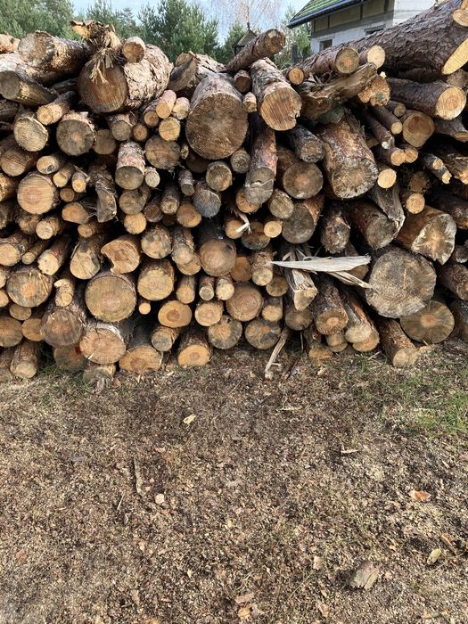 Drewno opałowe sosna