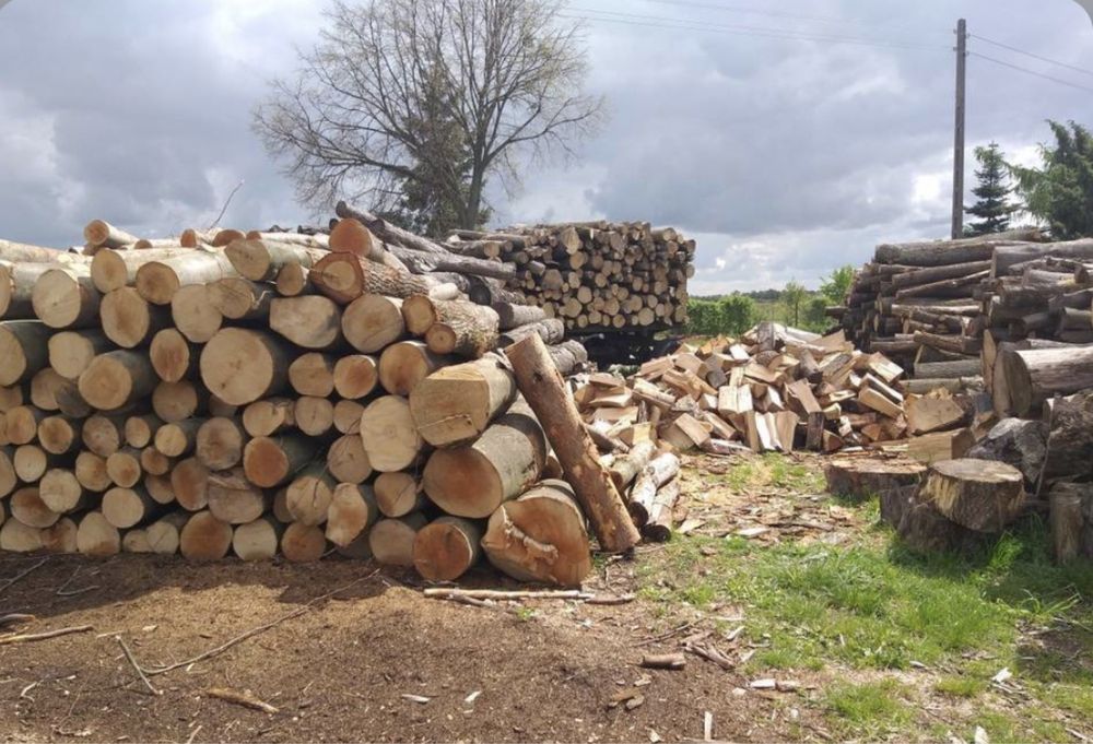 Drewno kominkowe opał drzewny drzewo dąb buk brzoza sosna olcha grab