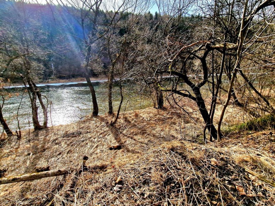 Продається земельна ділянка з виходом до річки у с. Рибник