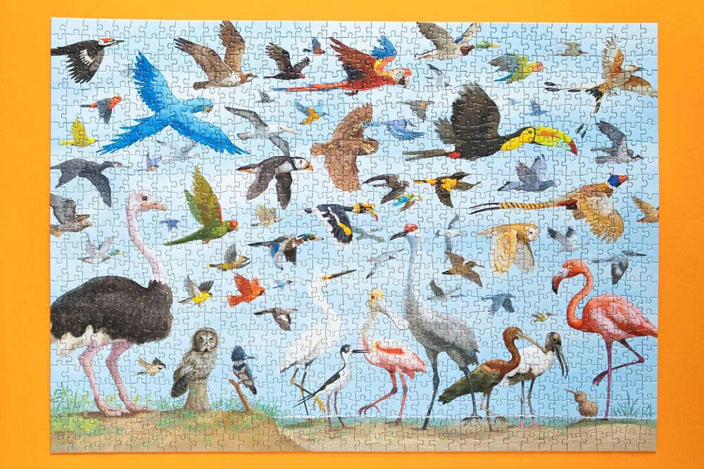 Puzzle Peter Pauper Press All the Birds 1000 el kompletne