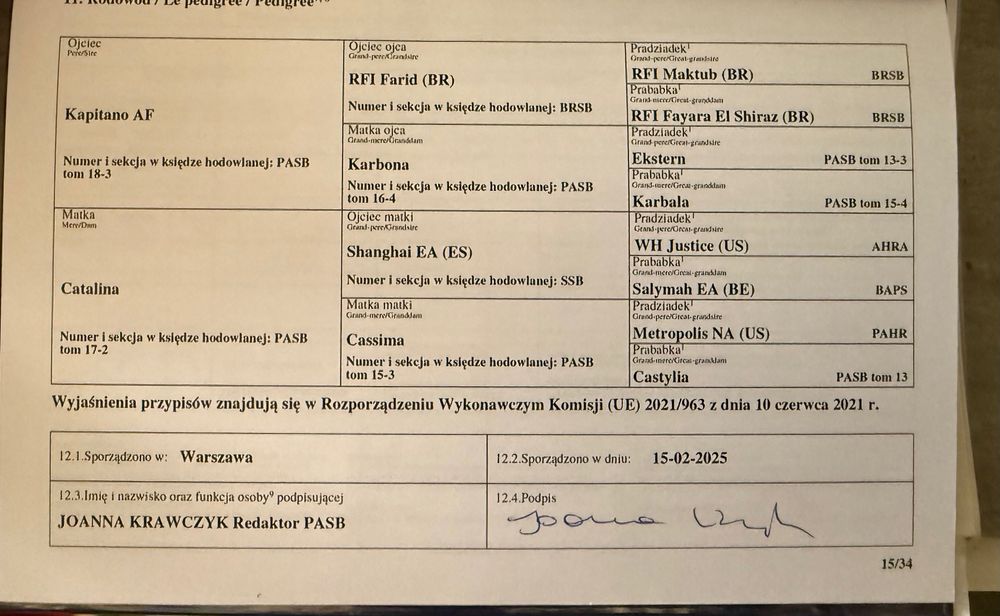 Ogier arabski - Kapitano oo - RFI FARID oo - SHANGHAI EA oo