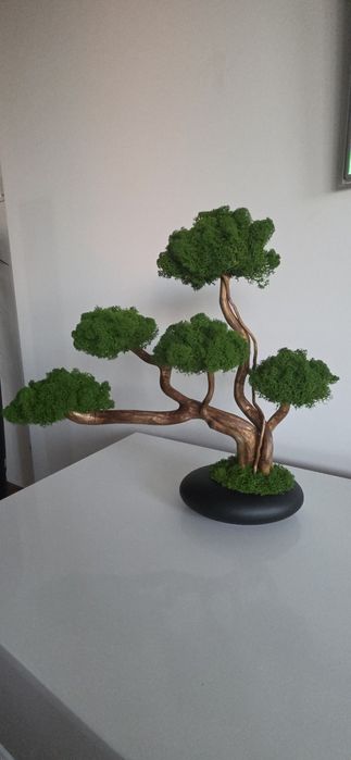 Drzewko bonsai. Mech Chrobotek. Dekoracje domu. Prezent.