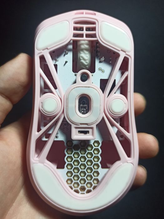 Lamzu maya champion edition