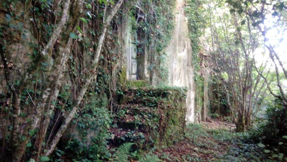 Quinta da Póvoa da Medronhosa, Repeses e São Salvador, Viseu