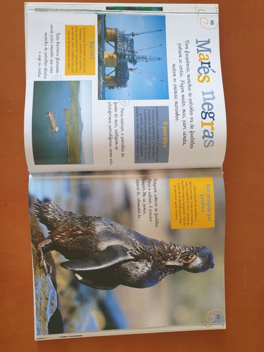 A minha enciclopédia dos oceanos